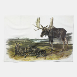 Linge De Cuisine Moose Deer (Moose - Alces alces) par Audubon