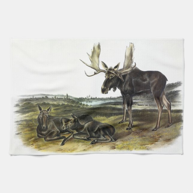 Linge De Cuisine Moose Deer (Moose - Alces alces) par Audubon (Horizontal)