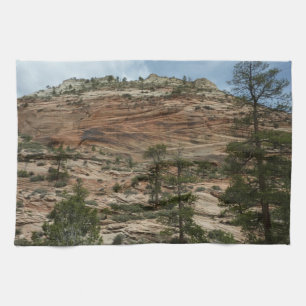 Linge De Cuisine Murs de roche usés dans le parc national de Zion