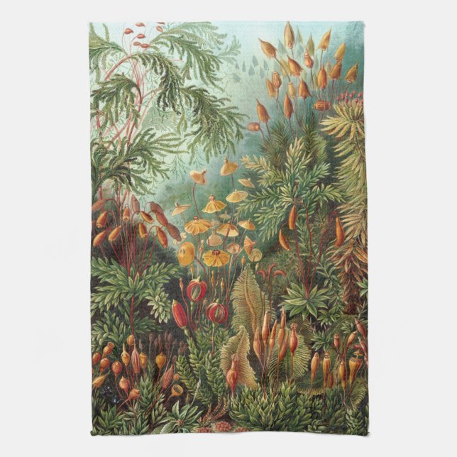 Linge De Cuisine Muscinae vintage, Plantes de la mousse par Ernst H (Vertical)
