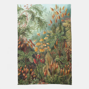 Linge De Cuisine Muscinae vintage, plantes de mousse par Ernst Haec