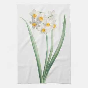 Linge De Cuisine Narcisse, Pierre-Joseph Redouté, 1805