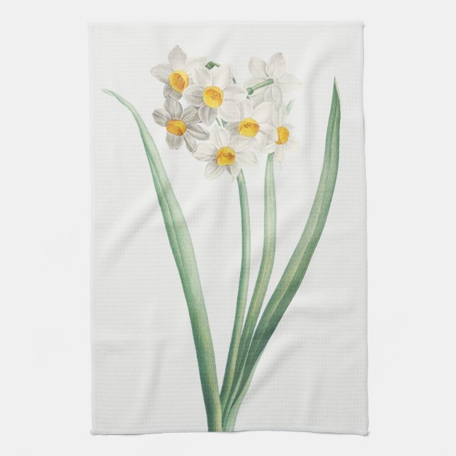 Linge De Cuisine Narcisse, Pierre-Joseph Redouté, 1805 (Vertical)
