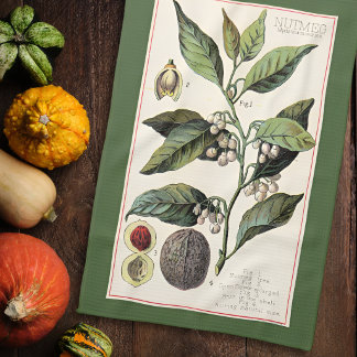 LINGE DE CUISINE NOIX DE MUSCADE - ILLUSTRATION BOTANIQUE VINTAGE