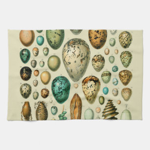 Linge De Cuisine Œufs d'oiseaux vintage Art de l'œuf de poisson fra