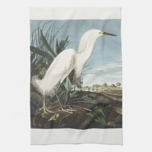 Linge De Cuisine Œuvre d'art vintage d'Audubon sur l'aigrette neige
