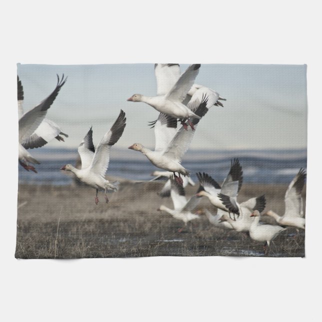 Linge De Cuisine Oies des neiges volantes (Horizontal)