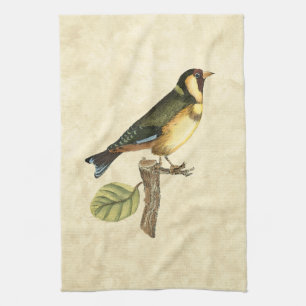 Linge De Cuisine Oiseau jaune et vert été perché sur une petite