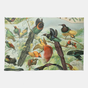 Linge De Cuisine Oiseaux vintages Vieux livre Illustration Art Anim