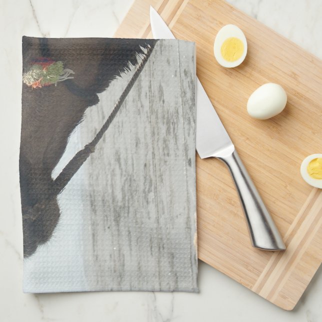 Linge De Cuisine Oman Mascate Photo Art (Quart Plié)