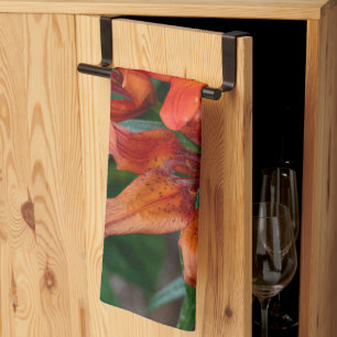 Linge De Cuisine Orange Daylily Canadian Flower Photography