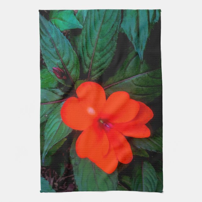 Linge De Cuisine Orange Impatiens (Vertical)