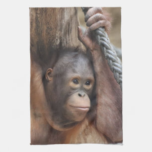 Linge De Cuisine OrangUtan 002