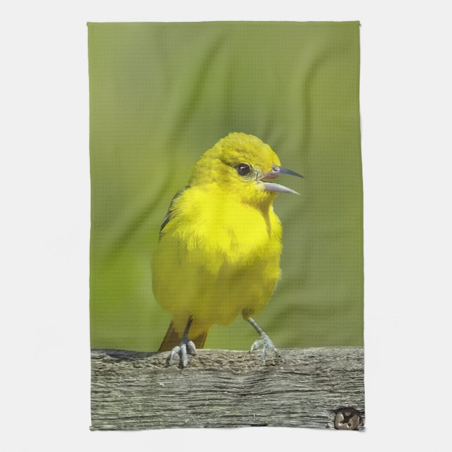 Linge De Cuisine Orchard Oriole - Photo originale (Vertical)