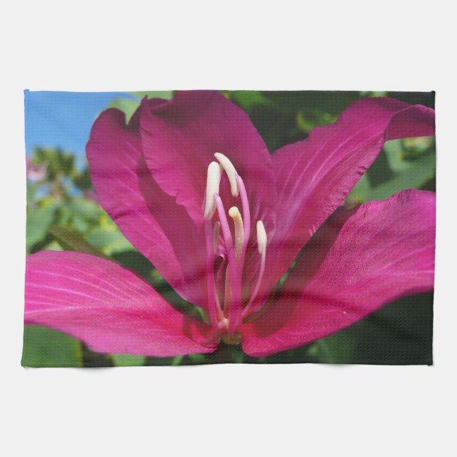 Linge De Cuisine Orchidée Fleurie tropicale Florale (Horizontal)