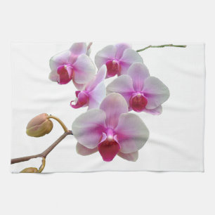 Linge De Cuisine Orchidées de mite roses - Phalaenopsis