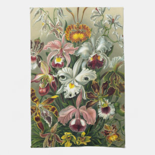 Linge De Cuisine Orchidées d'Ernst Haeckel, fleurs vintage de la fo