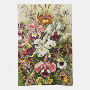 Linge De Cuisine Orchidées, Orchidées Denusblumen Ernst Haeckel