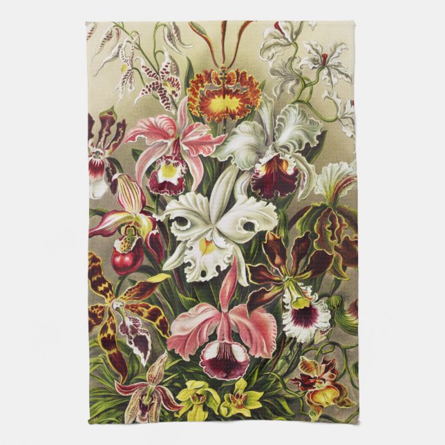 Linge De Cuisine Orchidées, Orchidées Denusblumen Ernst Haeckel  (Vertical)
