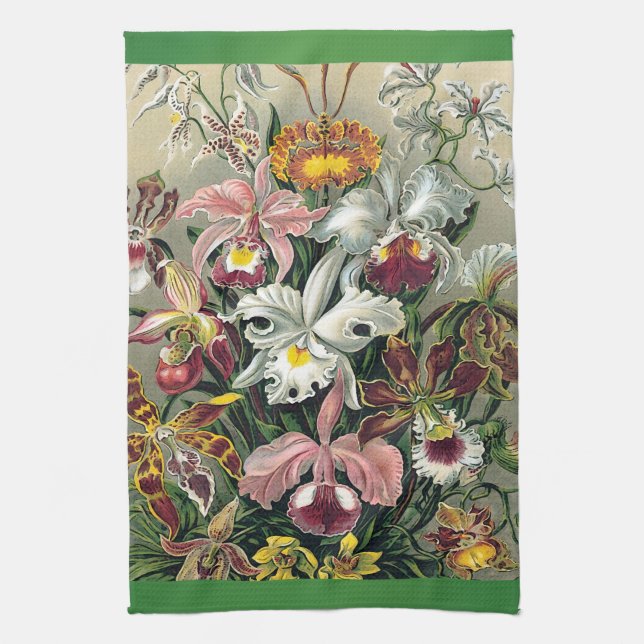 Linge De Cuisine Orchidées par Ernst Haeckel (Vertical)