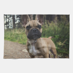 Linge De Cuisine Oreiller à lancer de chien de taureau français
