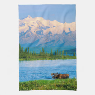 Linge De Cuisine Orignal mâle dans le Wonder Lake