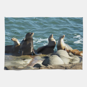 Linge De Cuisine Otaries de San Diego