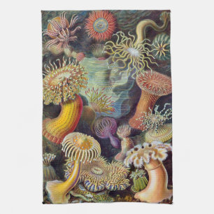 Linge De Cuisine Ourchins de la mer de Haeckel