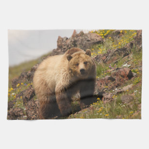 Linge De Cuisine ours