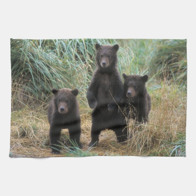 Linge De Cuisine ours brun, Ursus arctos, grizzli, Ursus 7 2 (Horizontal)