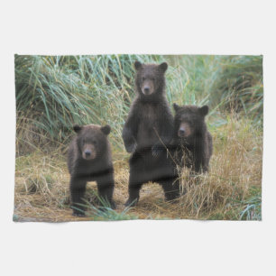 Linge De Cuisine ours brun, Ursus arctos, grizzly, Ursus 7 2
