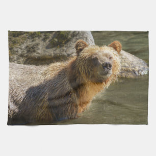 Linge De Cuisine Ours Grizzli Sauvage À La Rivière Orford