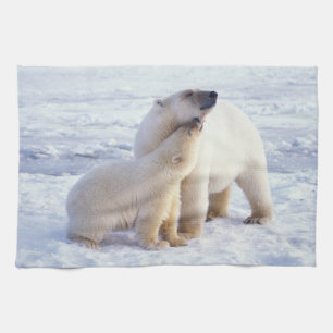 Linge De Cuisine Ours polaire femelle avec ourson, meute