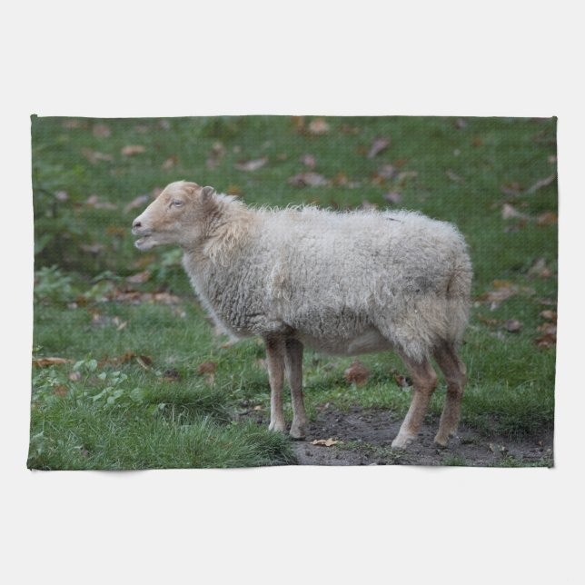 Linge De Cuisine Ovis (Horizontal)