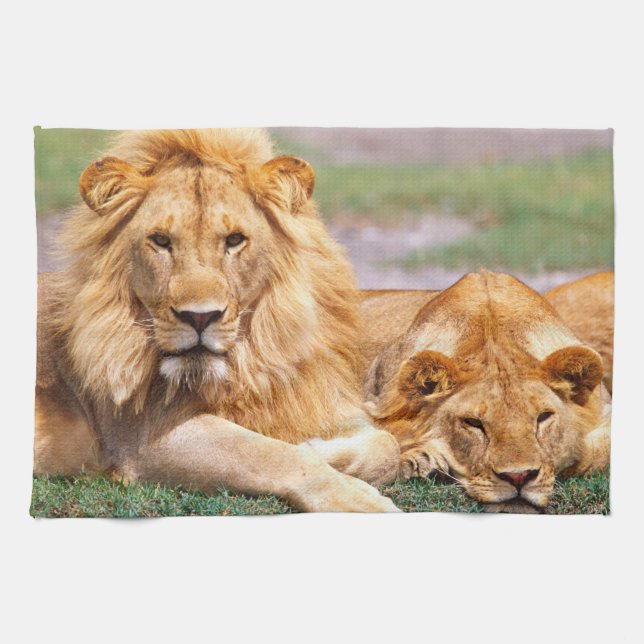Linge De Cuisine Paire de lions africains, Panthera leo, Tanzanie (Horizontal)