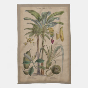Linge De Cuisine Palm Antique Fruit Tropical Art Botanique