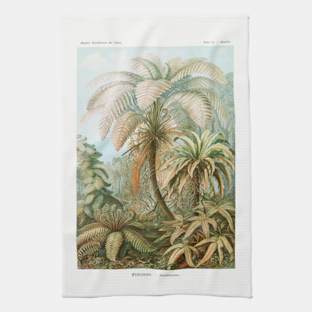 Linge De Cuisine Palm Tree Ernst Haeckel (Vertical)