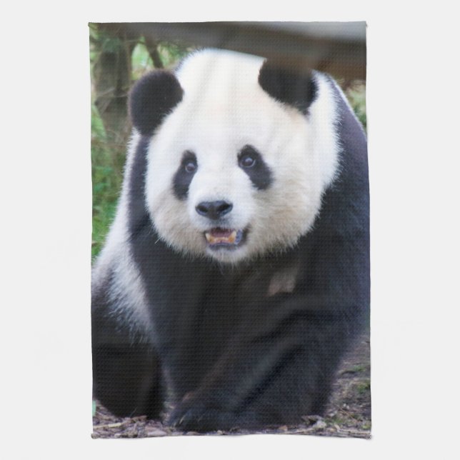 Linge De Cuisine Panda_20190301_by_JAMFoto (Vertical)