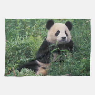 Linge De Cuisine Panda géant dans l'herbe, vallée de Wolong, Sichua