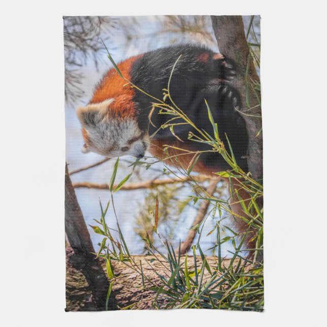 Linge De Cuisine Panda rouge (Vertical)