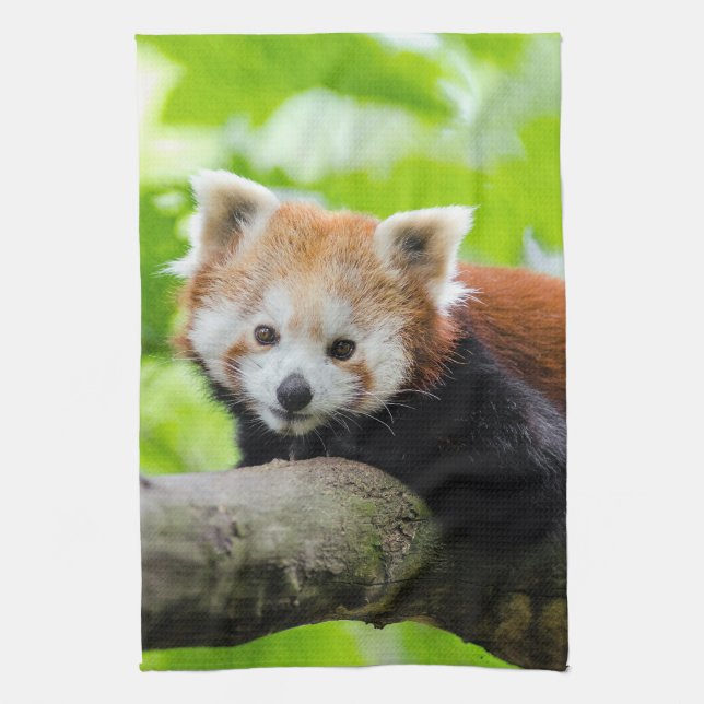Linge De Cuisine Panda rouge (Vertical)