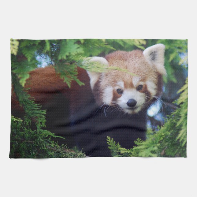 Linge De Cuisine Panda rouge (Horizontal)