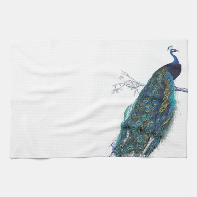 Linge De Cuisine Paon bleu avec de belles plumes de queue (Horizontal)