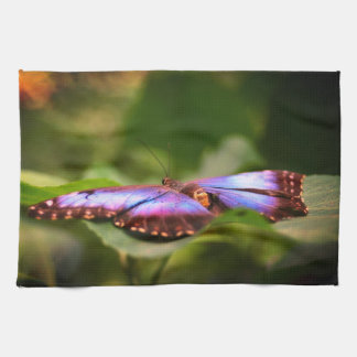 Linge De Cuisine Papillon Bleu Nature Fermer Tint Haut