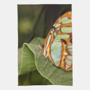 Linge De Cuisine Papillon malachite perché sur une feuille
