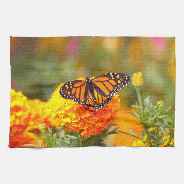 Linge De Cuisine Papillon monarque Orange Marigold Photo (Horizontal)