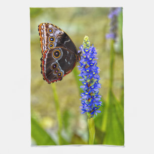 Linge De Cuisine Papillon morpho bleu sur une orchidée de marais
