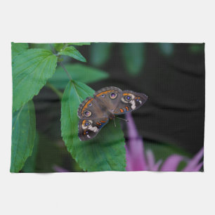 Linge De Cuisine Papillon tacheté