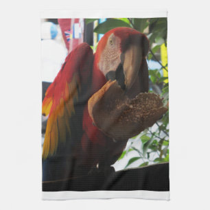 Linge De Cuisine Parrot Macaw Scarlet Manger Toast