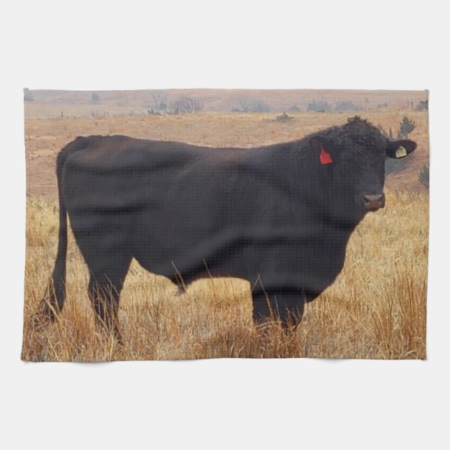 Linge De Cuisine Pâturage de Steer Black Angus avec son troupeau (Horizontal)